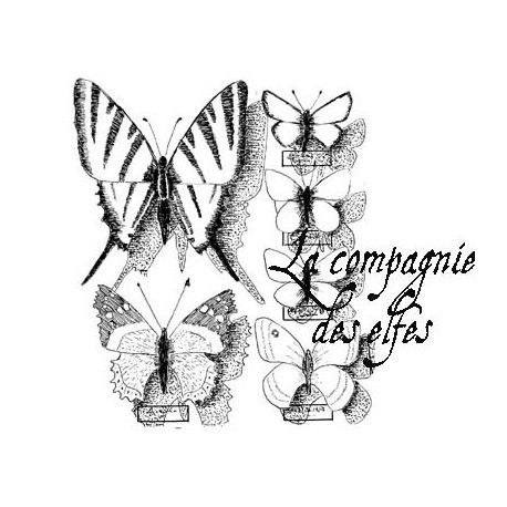 Butterflies rubber stamp | Grand tampon encreur papillons