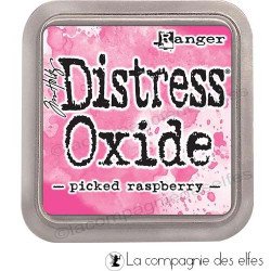 Distress oxide picked raspberry
