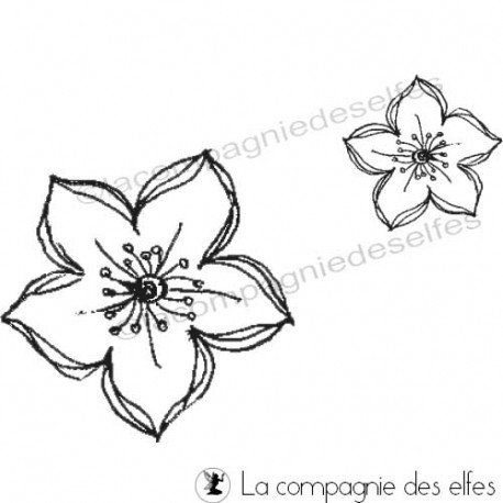 Cartes libellule 3/3 Tampon-fleurs-scarlet