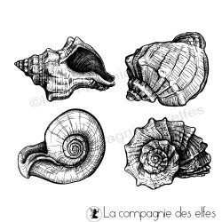 Timbre encreur mer | shell rubberstamp | acheter tampon coquillage