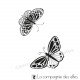 Schmetterling stempel | butterfly rubber stamp