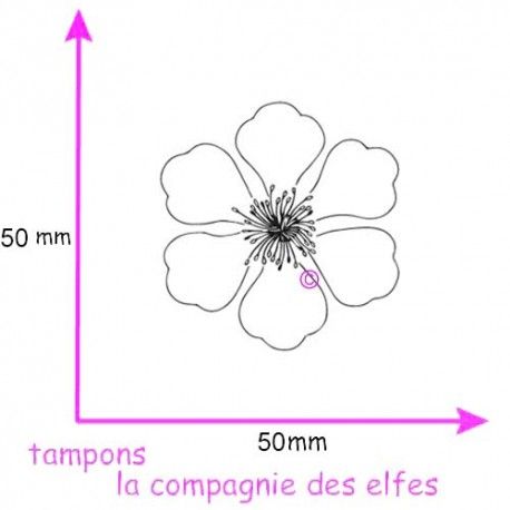 sketch scrap ou carte  Tampon-fleur-de-printemps-grand-modele-nm