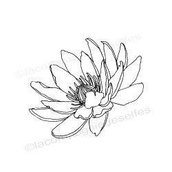 lily water stamp | seerose stempelkissen
