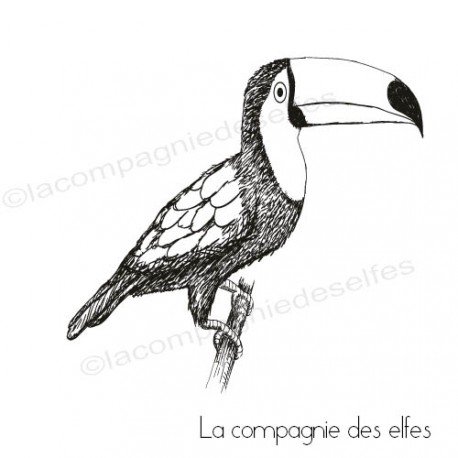 Toucan stamp| texture fimo | tampon bois toucan