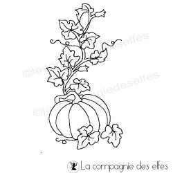 La citrouille du jardin nm